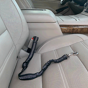 20% off Black Doglet Car Elastic Safety Leash for Truck SUV Van Jeep Family